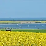 Meeresrauschen Am Salzhaff - Abc582 Boiensdorf